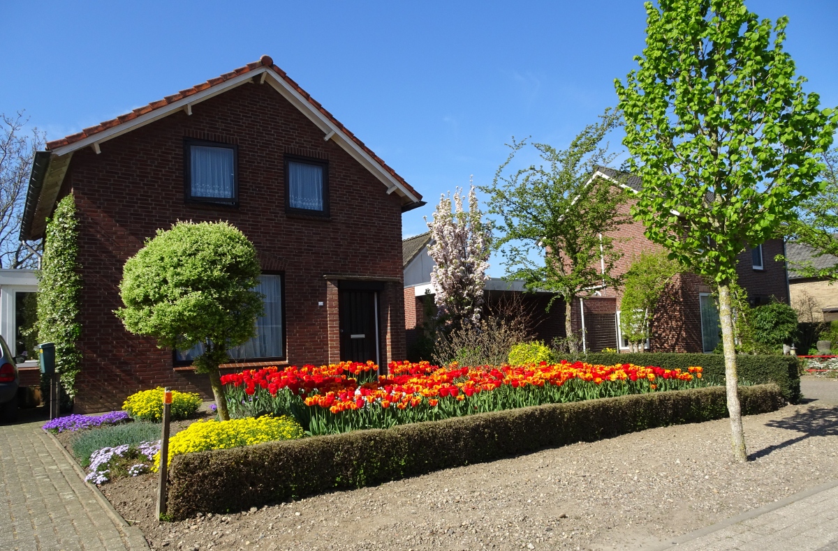 Huis en bloemen in Sint Agatha