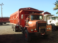 Mack DM600 Steel nose 6x4