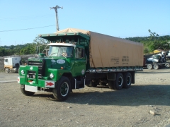 Mack DM600 Steel nose 6x4