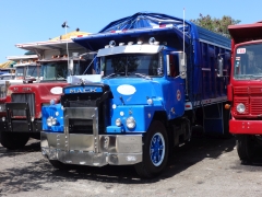 Mack DM600 Steel nose 6x4