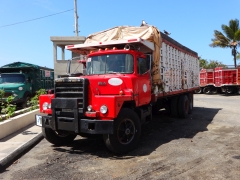 Mack DM600 Steel nose 6x4