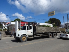 Freightliner FL80 6x4