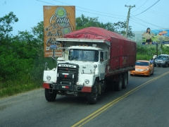 Mack DM600 Steel nose 6x4
