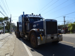 Peterbilt 379 