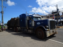 Peterbilt 379 