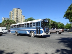 Old Schoolbus 