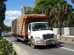 Freightliner M2 106 4x2