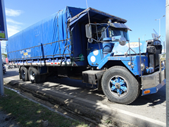 Mack DM600 Steel nose 6x4