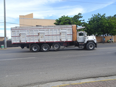 Mack R Model 8x4