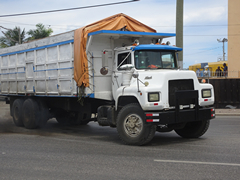 Mack DM600 6x4
