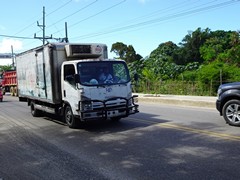 Isuzu N series 4x2