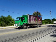 Isuzu FTR series 4x2