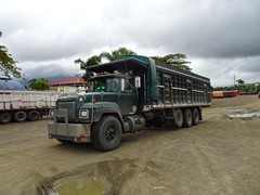 Mack RD 8x4