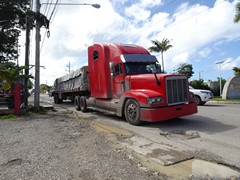 Freightliner FLD120